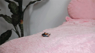 Giantess Katelyn at YooGirls.com - Showing Item 57915