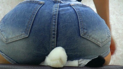 Husky crushing in short jeans - SD
