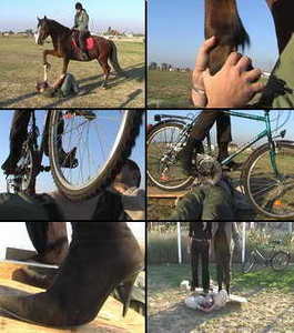 Horse, cycle and plank