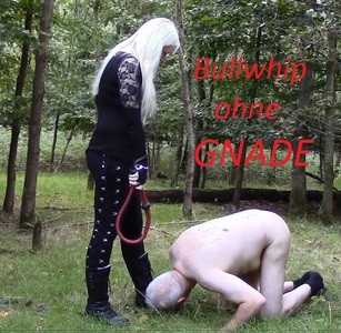 Bullwhip without mercy