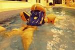 Alla Swims In The Pool In An Inflatable Vest And Inflatable Bandages.