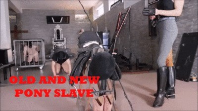 MISTRESS GAIA - OLD AND NEW PONY SLAVE - HD