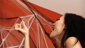 Jades Spider Web