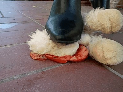 stuffed animal crush with boots