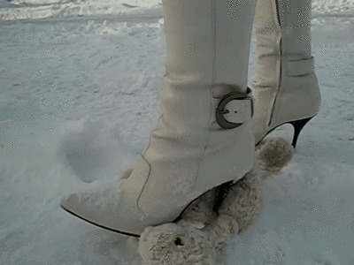 Stuffed animal crush with boots pt. 2 WMV