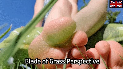 Blade of Grass Perspective