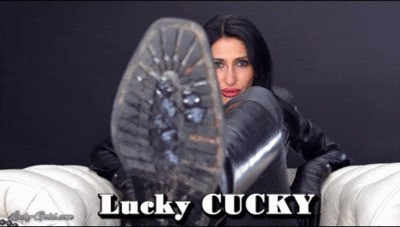 Lucky CUCKY