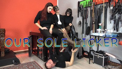 Lady Scarlet - Our sole licker