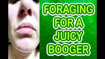 FORAGING FOR A JUICY BOOGER