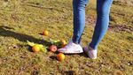 Sneakergirly Sophia - Fruit Crush