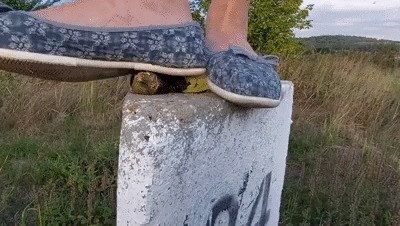 Eggplant Underfoot (720p)