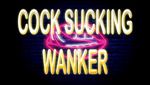 Cock Sucking Wanker (audio)