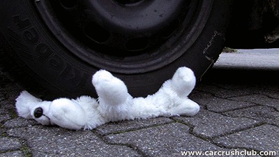 0014 - Teddy crushed under Daidra's wheels (WMV, HD, 1280x720 Pixel)