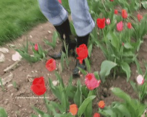 Picking Flowers in wonderful Boots