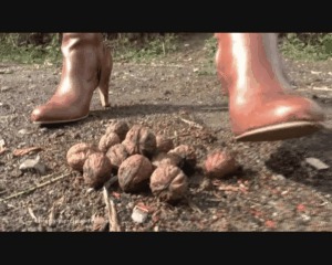 Walnuts under Buffalo high heel Boots