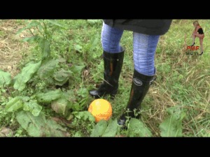 High Heel GumBoots in Pumpkin Field 2