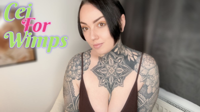 CEI For Wimps